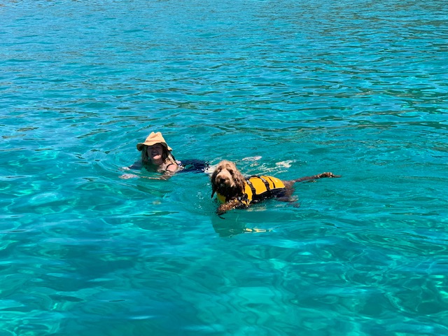 Safe swimming waters in Eagle Bay