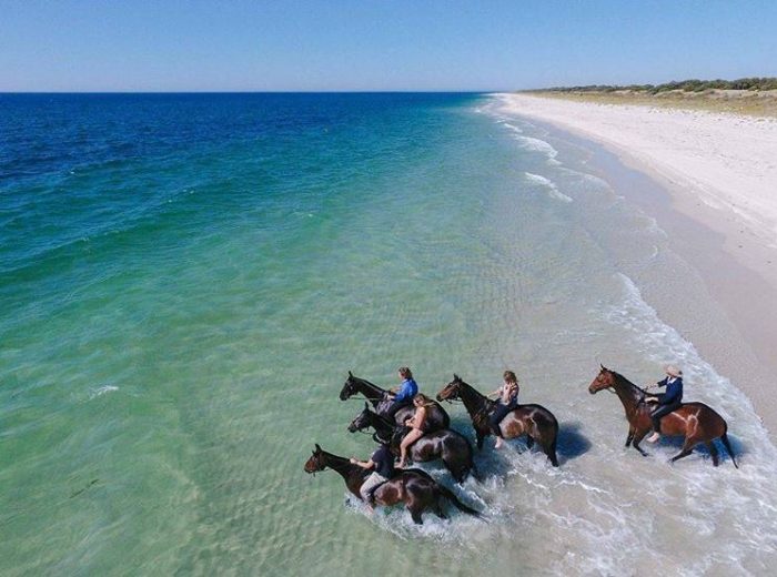Jesters Flat Equestrian, beach ride in Busselton