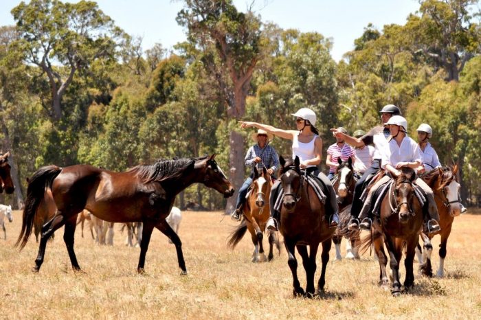 The Horse Resort, Margaret River