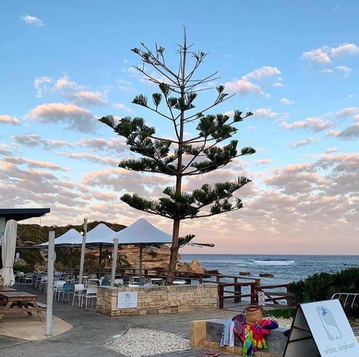 White Elephant Cafe, Prevelly