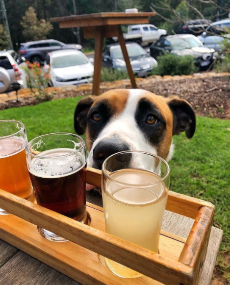 Margaret River Brewhouse